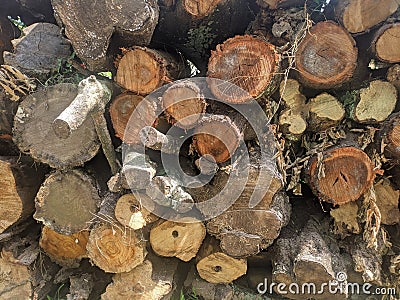 A pile of logs in stacked in haphazard manner which are going to be used as firewoods Stock Photo