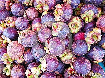 A pile of mangosteen sold in Thailand`s local market. Stock Photo