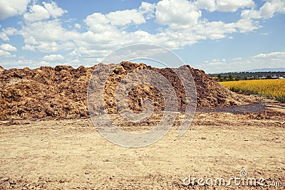 Pile of manure in the countryside with blue cloudy sky. Heap of dung in field on the farm yard with village in background Stock Photo