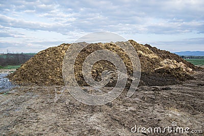 Pile of manure in the countryside with blue sky. Heap of dung in field on the farm yard with village in background Stock Photo