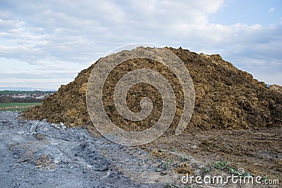 Pile of manure in the countryside with blue sky. Heap of dung in field on the farm yard with village in background Stock Photo