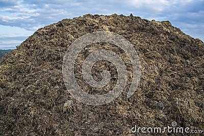 Pile of manure in the countryside with blue sky. Heap of dung in field on the farm yard with village in background Stock Photo