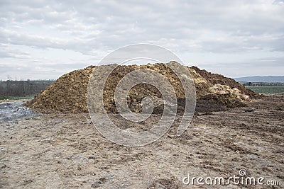 Pile of manure in the countryside with blue sky. Heap of dung in field on the farm yard with village in background Stock Photo