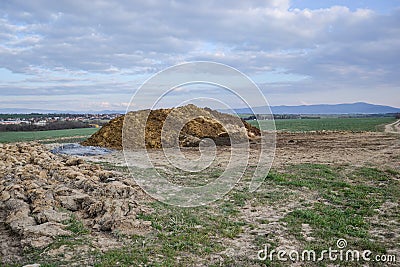 Pile of manure in the countryside with blue sky. Heap of dung in field on the farm yard with village in background Stock Photo