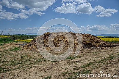 Pile of manure in the countryside. Heap of dung on the farm yard Stock Photo