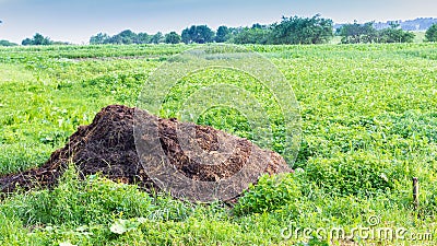 A pile of manure Stock Photo