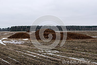 A pile of manure taken out on the field. Organic fertilizers are introduced on the field in the spring Stock Photo