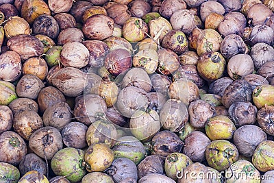 Pile of many coconuts background Stock Photo