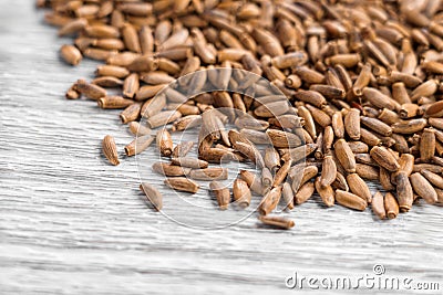 Pile of medicinal seeds of dried milk thistle plant on a aged board. Healing silymarin for liver problems Stock Photo