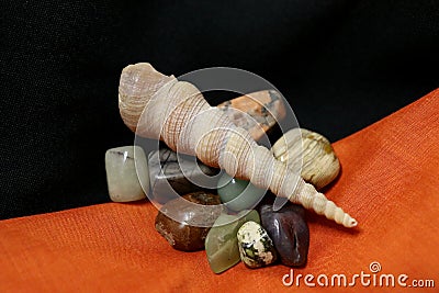 Celebrate Halloween with Cool Rocks and Shells Stock Photo