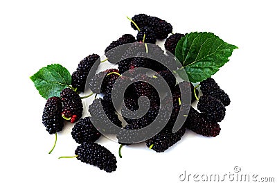 A pile of Mulberry with leaf Isolated on white background blackberry Stock Photo