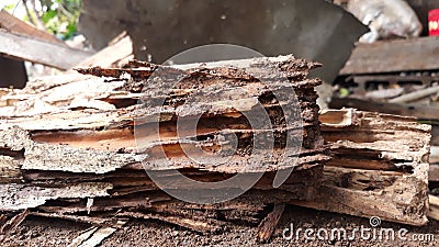 Old and dilapidated wood piles that have been destroyed by termites and moths, Stock Photo