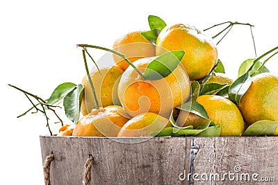 Pile of orange fresh from the garden Stock Photo