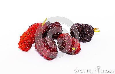 Pile of organic Mulberry fruits Stock Photo
