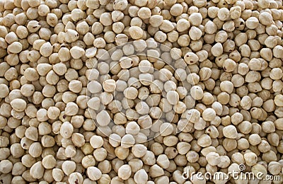 Pile of peeled hazelnut close-up. Peeled raw hazelnuts. Stock Photo