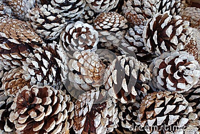 Pile of Pine Cones Background Stock Photo