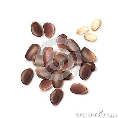 Pile of pine nuts Vector Illustration