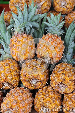 Pile of Pineapple in the market Stock Photo