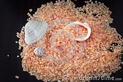 Pile of Pink Himalayan salt and seashell on dark background. Bath and beauty concept.Top view. Isolated Stock Photo