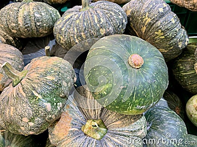 Pile of pumpkins on floor Stock Photo