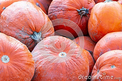 Pile of pumpkins good and bad in one, pumpkins, halloween pumpkins, roadside Bavaria province Stock Photo