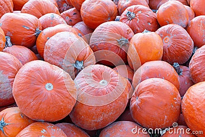 Pile of pumpkins good and bad in one, pumpkins, halloween pumpkins, roadside Bavaria province Stock Photo