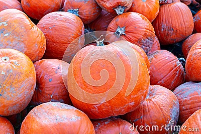 Pile of pumpkins good and bad in one, pumpkins, halloween pumpkins, roadside Bavaria province Stock Photo