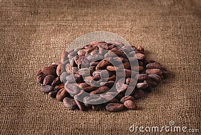 Pile of raw cocoa beans on sacking Stock Photo