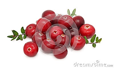 Pile of ripe cranberries (isolated) Stock Photo