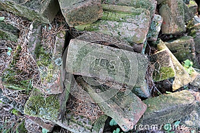 Pile of Rose brand name bricks covered in algae and pine needles Editorial Stock Photo