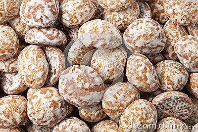 Pile of round gingerbread small cakes with sugar powder Stock Photo