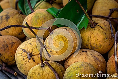 Pile of Santol fruits in Thailand Stock Photo