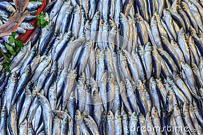 Pile of sardines fish lined up. Stock Photo