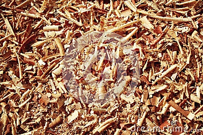 Pile of sawdust macro. Closeup image of wooden filings. Stock Photo