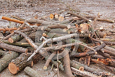 A pile of sawed firewood for heating in winter. Stockpile of firewood during the energy crisis Stock Photo