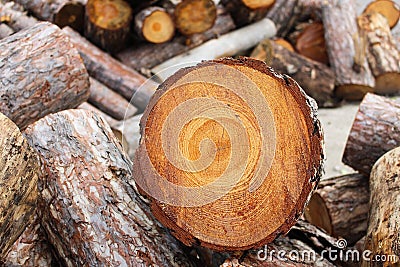 Pile of sawed pine wood Stock Photo