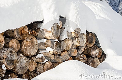 Pile of Sawn Logs Covered in Snow Stock Photo