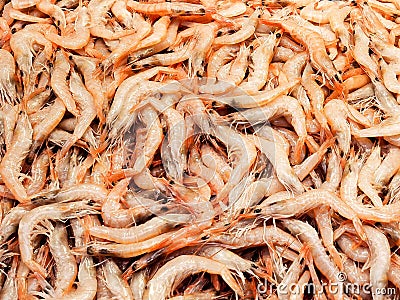 Pile of shrimp Stock Photo