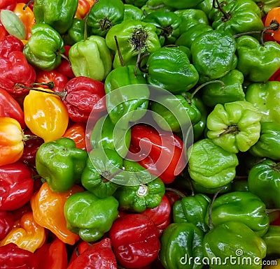 Pile of spicy hot habanero peppers in various colors Stock Photo