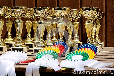 Pile of sport trophies and badges rosettes for the winners on show jumping competition Stock Photo