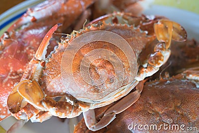 Pile of steamed crab Stock Photo