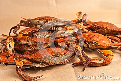 Pile of steamed and seasoned Chesapeake Blue Claw crabs Stock Photo