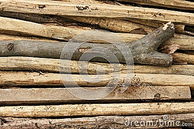 Pile of thin wooden sticks Stock Photo