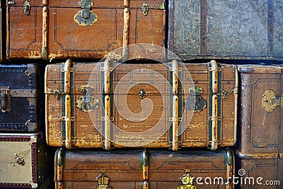 Pile of trunks Stock Photo