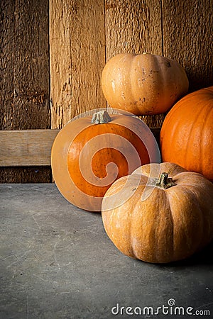 Pile of Various Kinds of Pumpkins Different Colors Orange Pale Peach on Stone Background Barn Weathered Wood. Stock Photo