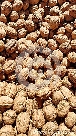 Pile of walnuts under the sunlight Stock Photo