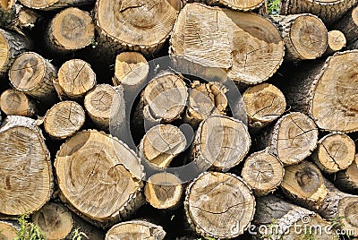 Pile of Wood Stock Photo