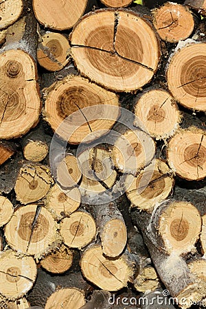 Pile of wood fire texture background - vertical - portret Stock Photo