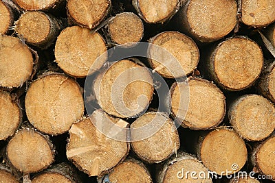 Pile of wood logs Stock Photo