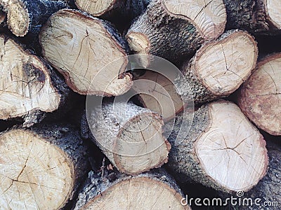 The pile of wood that was cut to make firewood or use other benefits Stock Photo